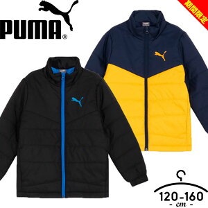 yzv[} ȃWPbg AE^[ H~ LbY WjA j̎q 120cm 130cm 140cm 150cm 160cm PUMA WPbg q qp  EB^[ h ʊw wZ w ct