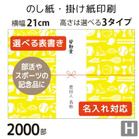 のし紙・掛け紙印刷［デザインH］（2000枚 A5サイズ） カジュアル・おしゃれに使える当店限定デザインも。横幅210mm。縦幅は3タイプからセレクト。 テンプレートから簡単に選べます。 表書きや差出人の有無・名入れに対応。