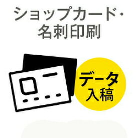 名刺印刷【55×91限定】 名刺片面カラー 印刷 10部〜500部