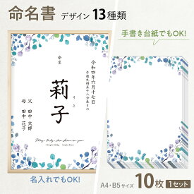 命名書 赤ちゃん おしゃれ 命名紙 用紙のみ 漢字 オシャレ ポスター（10枚セット）［全13種］名前 誕生日 出生体重 両親 名入れ セミオーダー A4サイズ B5サイズ 【PCOT限定デザイン】【送料無料】