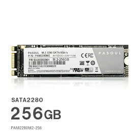 【新品】PASOUL SSD256GB SATA M.2 2280 6GB/sに準拠 3D TLC 最大読取り530MB/s 最大書込み400MB PAM2280M2-256