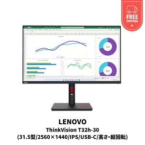 yVi [zThinkVision T32h-30(31.5^/2560×1440/IPS/USB-C/Ec])