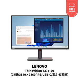 yVi [zThinkVision T27p-30(27^/3840×2160/IPS/USB-C/Ec])4.5