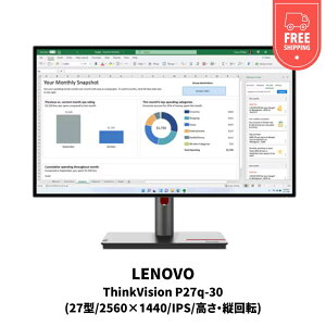yVi [zThinkVision P27q-30(27^/2560×1440/IPS/Ec])