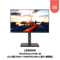 楽天市場】thinkvision p24hの通販