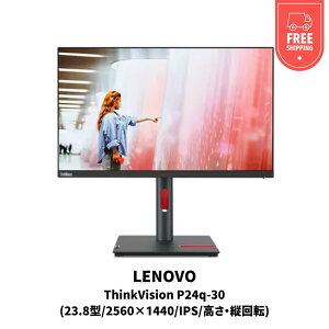 yVi [zThinkVision P24q-30(23.8^/2560×1440/IPS/Ec])