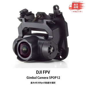 yVi [zDJI FPV Gimbal Camera SPOP12 iR[h9073954