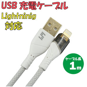 Vi USB[dP[u C-L511AL-GY TypeA  Lightning ődF2.4A P[uF1m J[FO[y180ۏ؁z