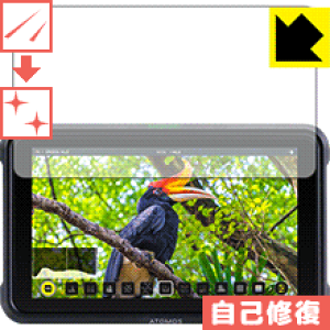 �L�Y���ȏC���ی�t�B���� ATOMOS SHINOBI ATOMSHBH01 ���{�� ���А�������