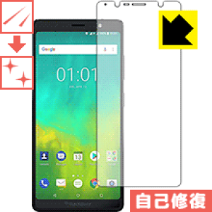 �L�Y���ȏC���ی�t�B���� BlackBerry Evolve ���{�� ���А�������