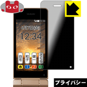 Privacy Shieldy `h~E˒ጸ zیtB 񂽂g10 (Cp) { А