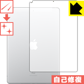 楽天市場 Ipad 背面 保護フィルムの通販