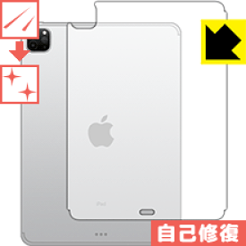 楽天市場 Ipad 背面 保護フィルムの通販