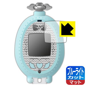 Lbƃv` vGO p u[CgJbgy ˒ጸ zیtB { А