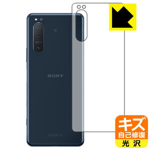 LYȏCیtB GNXyA Xperia 5 II (SO-52A/SOG02/XQ-AS42) wʂ̂ { А