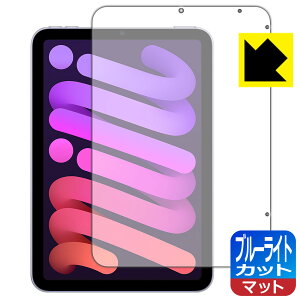 ブルーライトカット【 反射低減 】保護フィルム iPad mini (第6世代・2021年発売モデル) 日本製 自社製造直販