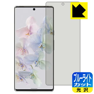 �u���[���C�g�J�b�g�y ���� �z�ی�t�B���� Google Pixel 6 Pro �y �w��F�ؑΉ� �z ���{�� ���А�������