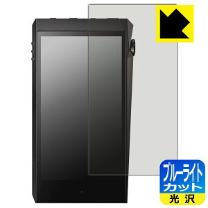 �u���[���C�g�J�b�g�y ���� �z�ی�t�B���� Astell&Kern A&ultima SP2000T ���{�� ���А�������