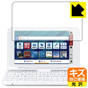 LYȏCیtB V[vdq Brain 2022Nf PW-S2/PW-H2/PW-B2/PW-J2/PW-A2/PW-ES { А