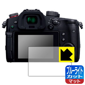�u���[���C�g�J�b�g�y ���˒ጸ �z�ی�t�B���� Panasonic LUMIX GH5II ���{�� ���А�������