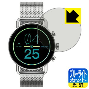 �u���[���C�g�J�b�g�y ���� �z�ی�t�B���� SKAGEN FALSTER GEN 6 ���{�� ���А�������