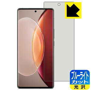 �u���[���C�g�J�b�g�y ���� �z�ی�t�B���� vivo X90 Pro+ �y �w��F�ؑΉ� �z ���{�� ���А�������