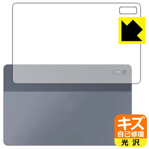 LYȏCیtB LAVIE T11 T1195/FAS, TAB11/Q01 (11.2^ChE2023N2f) wʗp { А