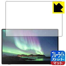 ブルーライトカット【 反射低減 】保護フィルム RICOH Light Monitor 150/150BW, Portable Monitor 150/150BW 日本製 自社製造直販