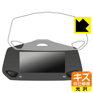 XYL WNT[SF250/250/150 (2020N/2021N/2022N/2023Nf) ttfBXvC[^[pl p LYȏCیtB { А