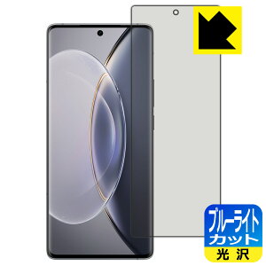 �u���[���C�g�J�b�g�y ���� �z�ی�t�B���� vivo X90 Pro �y �w��F�ؑΉ� �z ���{�� ���А�������