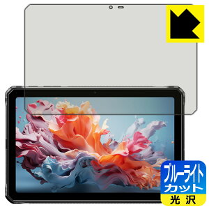 �u���[���C�g�J�b�g�y ���� �z�ی�t�B���� DOOGEE R20 ���{�� ���А�������