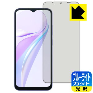 �u���[���C�g�J�b�g�y ���� �z�ی�t�B���� Blackview WAVE 6C ���{�� ���А�������