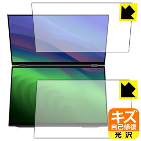 キズ自己修復保護フィルム EHOMEWEI 16インチ デュアルモバイルモニター XQ-160PW (E160DSX) 日本製 自社製造直販