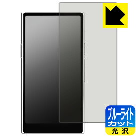ブルーライトカット【 光沢 】保護フィルム HiBy R8 II 日本製 自社製造直販