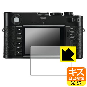 �L�Y���ȏC���ی�t�B���� ���C�JM���m�N���[�� (Typ 246) ���{�� ���А�������