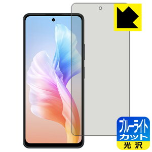 �u���[���C�g�J�b�g�y ���� �z�ی�t�B���� Blackview OSCAL TIGER 12 ���{�� ���А�������