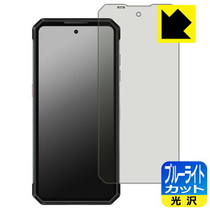 �u���[���C�g�J�b�g�y ���� �z�ی�t�B���� OUKITEL WP21 Ultra ���{�� ���А�������