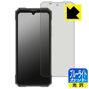 �u���[���C�g�J�b�g�y ���� �z�ی�t�B���� DOOGEE S200 / S200X (���C���f�B�X�v���C�p) ���{�� ���А�������