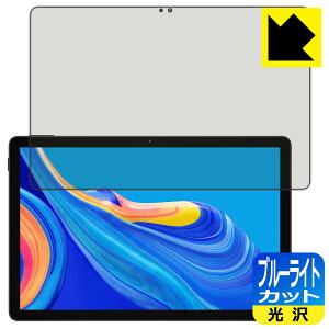 �u���[���C�g�J�b�g�y ���� �z�ی�t�B���� DOOGEE U11 ���{�� ���А�������