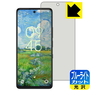�u���[���C�g�J�b�g�y ���� �z�ی�t�B���� TCL 50 NXTPaper 5G / TCL 50 PRO NXTPaper 5G ���{�� ���А�������