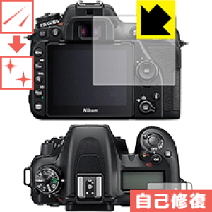 �L�Y���ȏC���ی�t�B���� Nikon D7500 ���{�� ���А�������