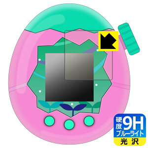 Tamagotchi Paradise(܂p_CX) p 9Hdxy u[CgJbg zیtB y \̂ z { А