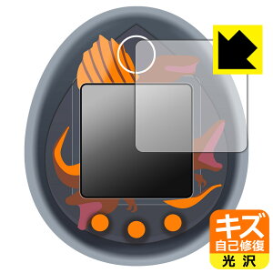 WVbNE[h / ̑n ܂ p LYȏCیtB { А