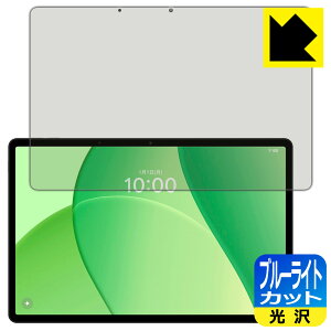 �u���[���C�g�J�b�g�y ���� �z�ی�t�B���� OPPO Pad SE ���{�� ���А�������