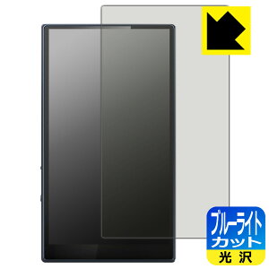 �u���[���C�g�J�b�g�y ���� �z�ی�t�B���� FiiO M21 ���{�� ���А�������