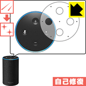 �L�Y���ȏC���ی�t�B���� Amazon Echo (��2����E2017�N11���������f��) ���{�� ���А�������