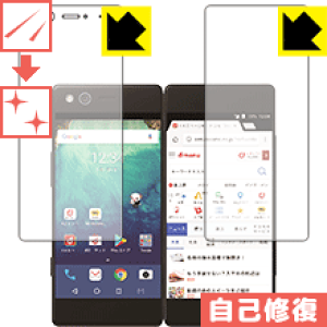 �L�Y���ȏC���ی�t�B���� M Z-01K (2��ʃZ�b�g) ���{�� ���А�������