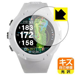 �L�Y���ȏC���ی�t�B���� Shot Navi Evolve GII ���{�� ���А�������