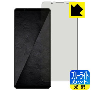 �u���[���C�g�J�b�g�y ���� �z�ی�t�B���� Xperia 1 VIII (SO-51G/SOG17/XQ-GE44) ���{�� ���А�������