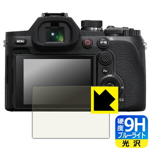 9H���d�x�y �u���[���C�g�J�b�g �z�ی�t�B���� Cyber-shot RX10 V ���{�� ���А�������